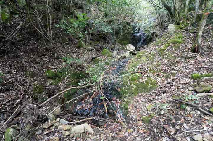 �����̑�E���i����